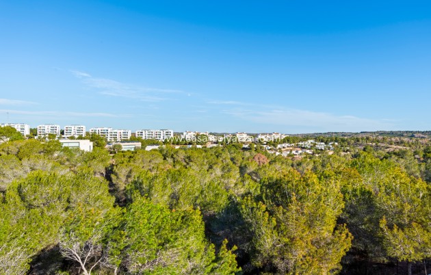 Revente - Villa - Dehesa De Campoamor - Costa Blanca