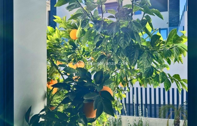 Revente - Villa - Rojales - Inland