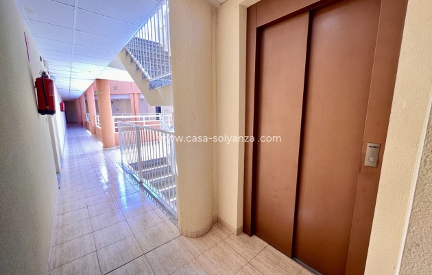 Revente - Appartement - San Miguel de Salinas - Inland