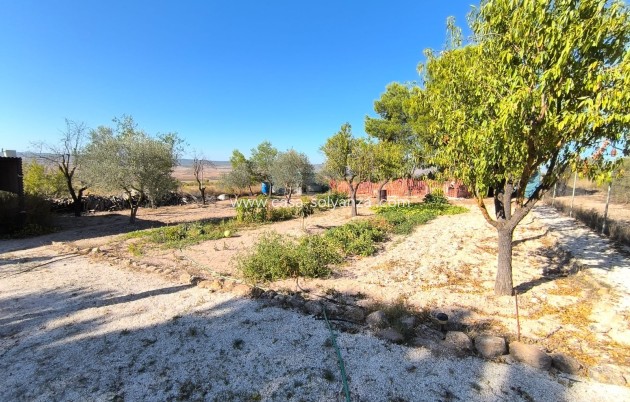 Revente - Villa - Yecla - Inland