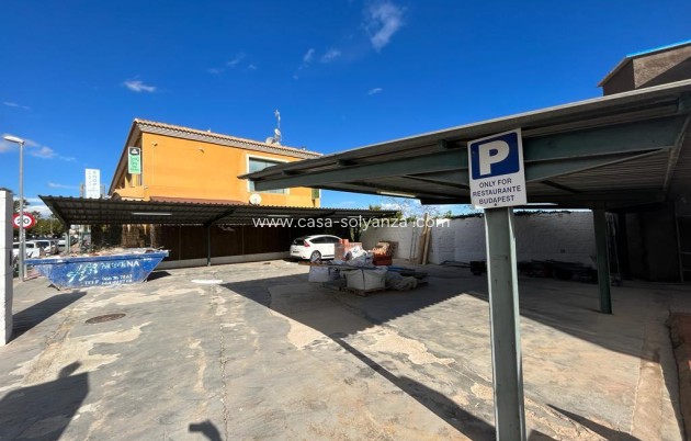 Revente - Other - Ciudad Quesada - Lo Pepin