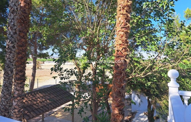 Revente - Villa - Orihuela - Los Huertos