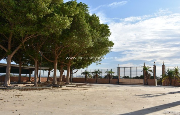 Revente - Country Property/Finca - Torre Pacheco - Dolores De Pacheco