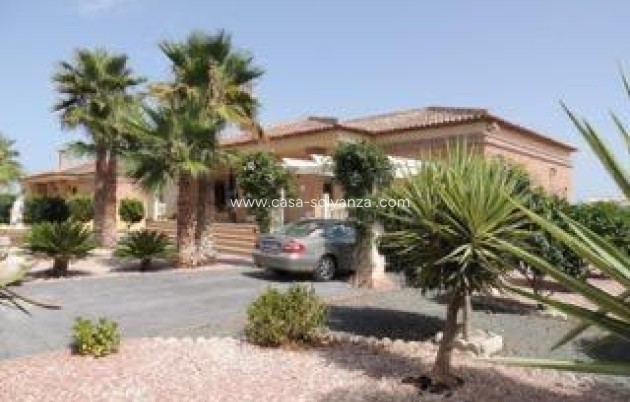 Wiederverkauf - Villa - Catral