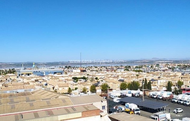 Wiederverkauf - Wohnung - Torrevieja