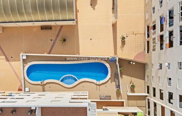 Revente - Appartement - Torrevieja - Costa Blanca