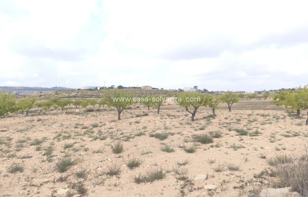 Wiederverkauf - Land - Pinoso - Inland