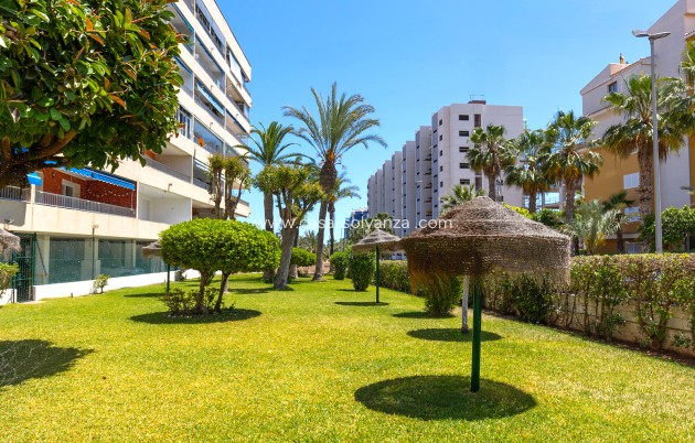 Reventa - Apartamento / piso - Torrevieja - Costa Blanca