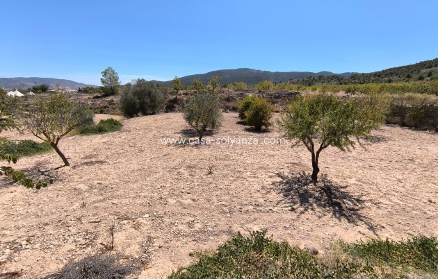 Wiederverkauf - Other - Chinorlet - Inland