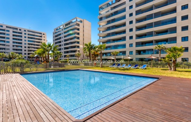 Revente - Appartement - Torrevieja - Punta Prima