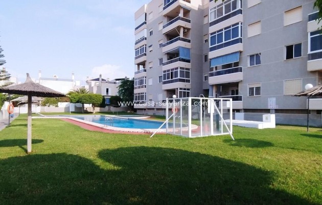 Revente - Appartement - Torrevieja - Torreblanca