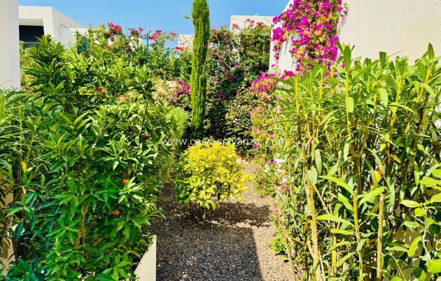 Revente - Villa - Algorfa - Inland