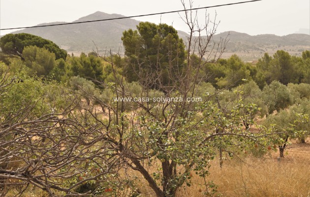 Revente - Other - Salinas - Inland