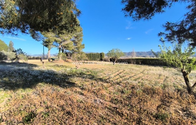 Revente - Villa - Yecla - Inland