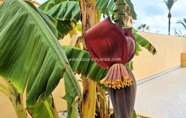 Revente - Villa - Los Urrutias - Costa Calida