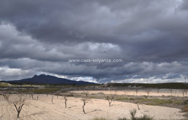 Revente - Country Property/Finca - Jumilla - Inland