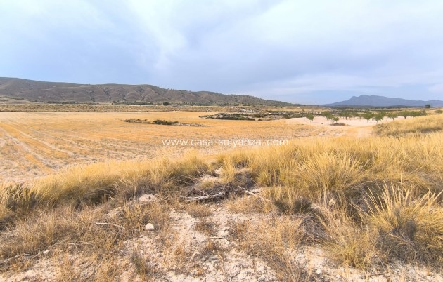 Revente - Country Property/Finca - Jumilla - Inland