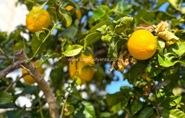 Revente - Villa - Orihuela Costa - Costa Blanca