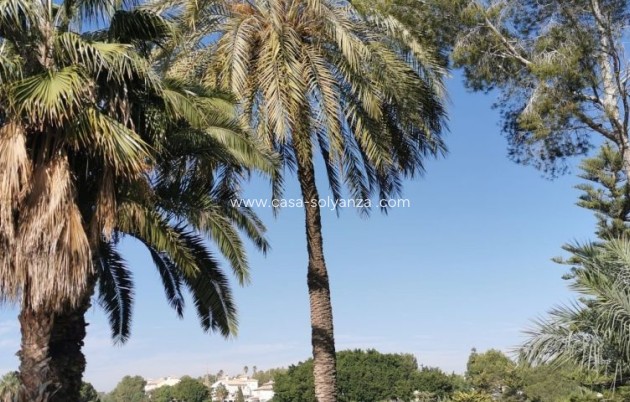 Revente - Appartement - Orihuela Costa - Costa Blanca