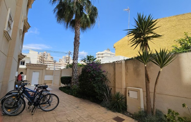 Revente - Appartement - Torrevieja - Nueva Torrevieja