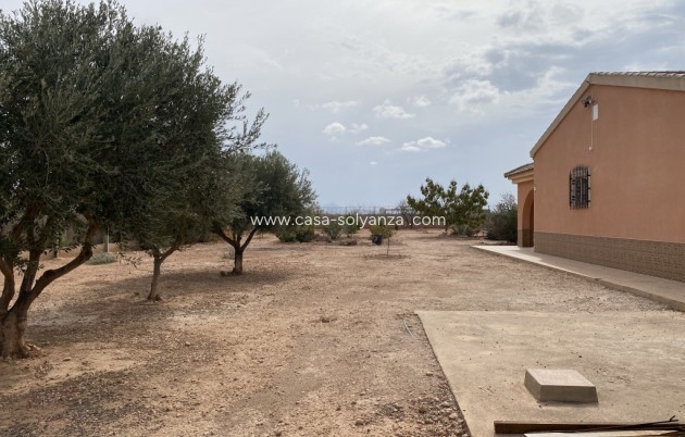 Revente - Maison de ville - Fuente Alamo - Inland