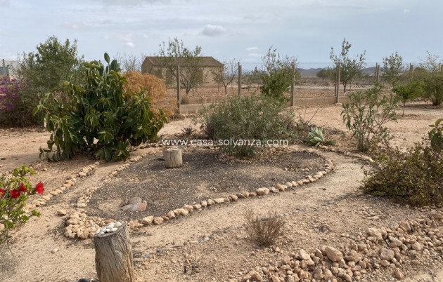 Revente - Maison de ville - Fuente Alamo - Inland