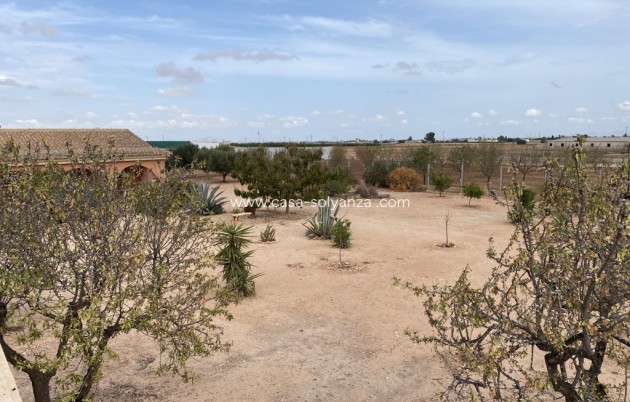 Revente - Maison de ville - Fuente Alamo - Inland