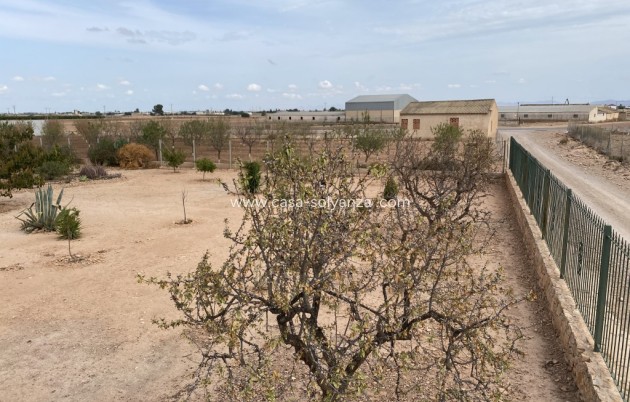 Revente - Maison de ville - Fuente Alamo - Inland