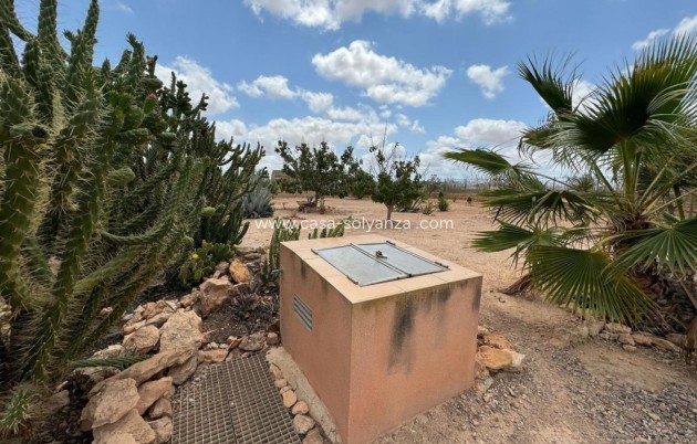 Revente - Maison de ville - Fuente Alamo - Inland