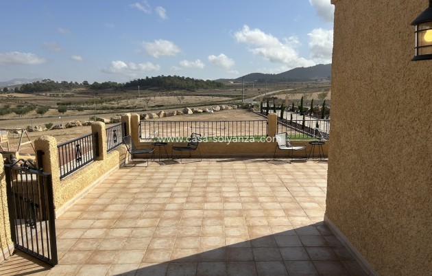 Revente - Commercial - Jumilla - Inland