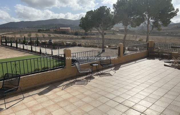 Revente - Commercial - Jumilla - Inland