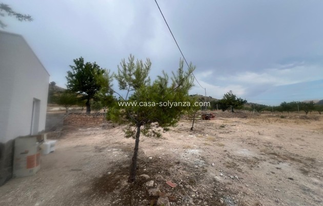 Wiederverkauf - Villa - La Solana