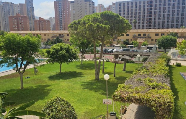 Reventa - Apartamento / piso - Benidorm