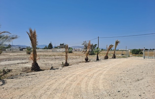 Revente - Country Property/Finca - Orihuela - Inland