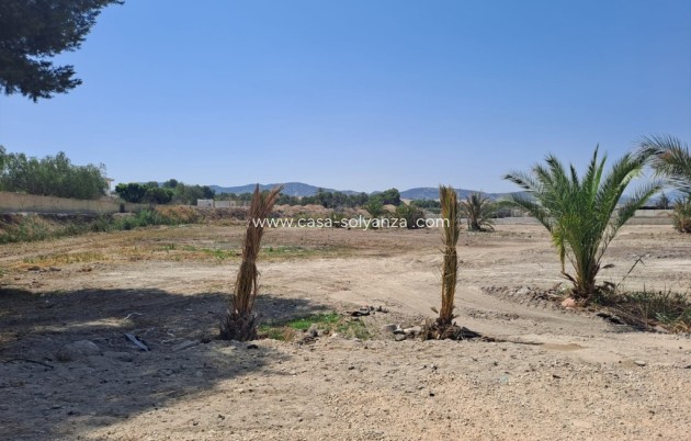 Revente - Country Property/Finca - Orihuela - Inland