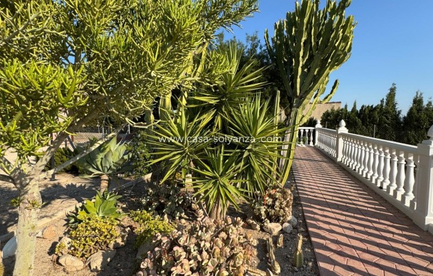 Revente - Villa - Albatera - Partida Lomas