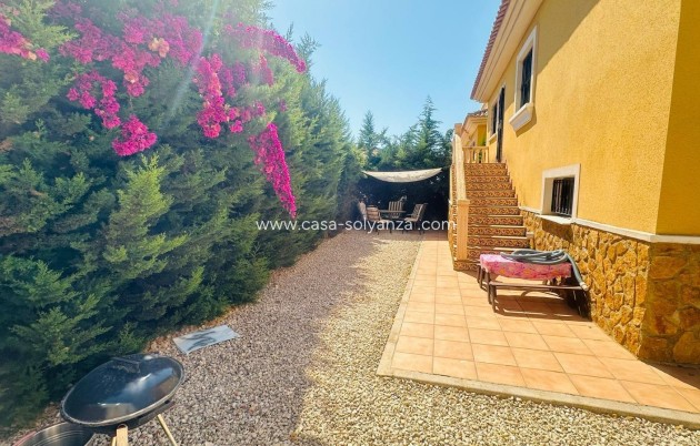 Revente - Villa - Orihuela Costa - Pau 8