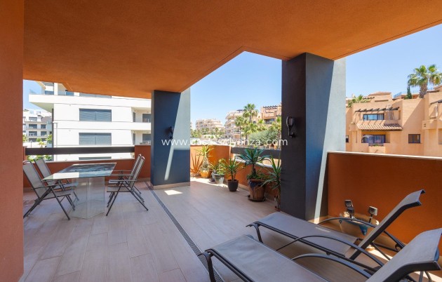 Revente - Appartement - Orihuela Costa - Villamartín