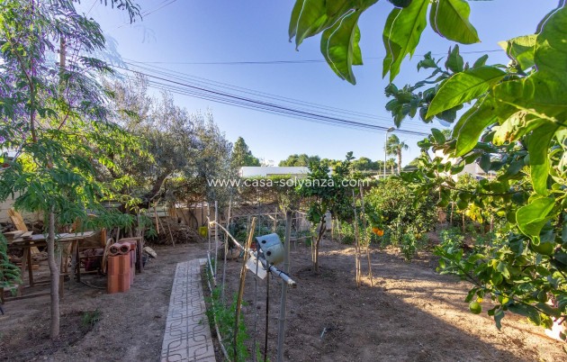 Wiederverkauf - Villa - Torrevieja - Los Balcones