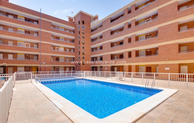 Revente - Appartement - Torrevieja - Playa De Los Naufragos