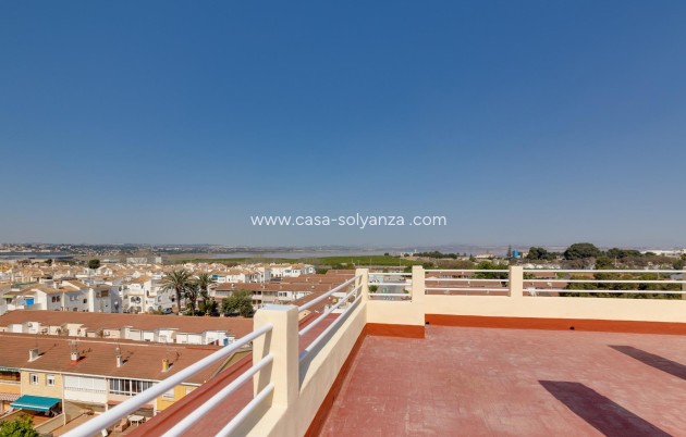 Revente - Appartement - Torrevieja - Playa De Los Naufragos
