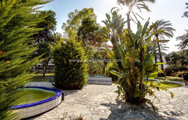 Revente - Appartement - Torrevieja - Playa De Los Naufragos