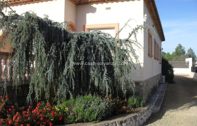 Revente - Villa - Jalón - Inland