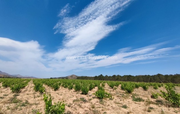 Revente - Country Property/Finca - Yecla - Inland