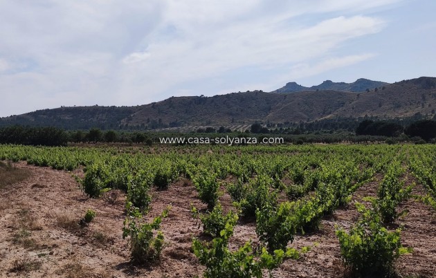 Revente - Country Property/Finca - Yecla - Inland