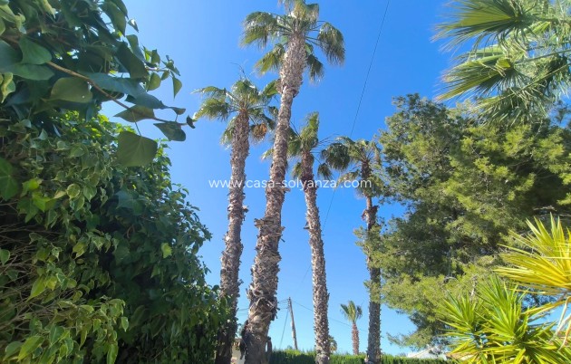 Herverkoop - Villa - Torrevieja - La Siesta