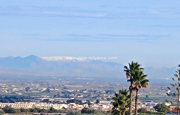 Revente - Villa - Algorfa - Inland