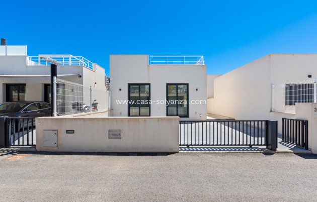 Revente - Villa - San Miguel de Salinas - Inland