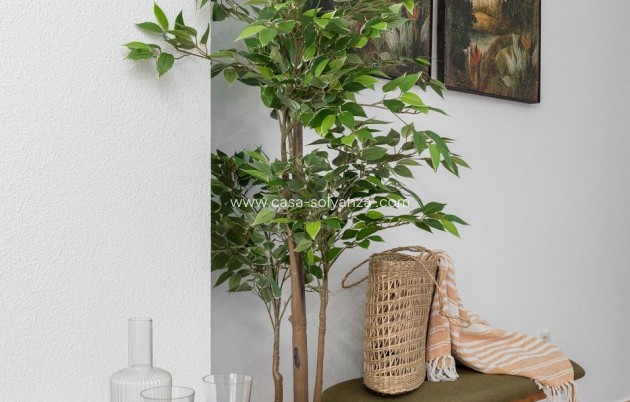 Revente - Appartement - Guardamar del Segura - Pueblo