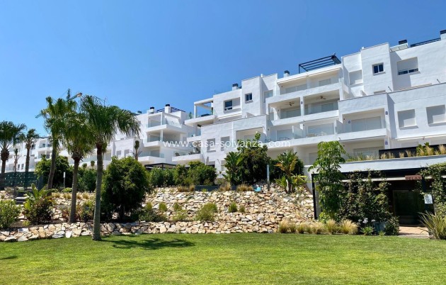 Revente - Appartement - Torrevieja - Punta Prima